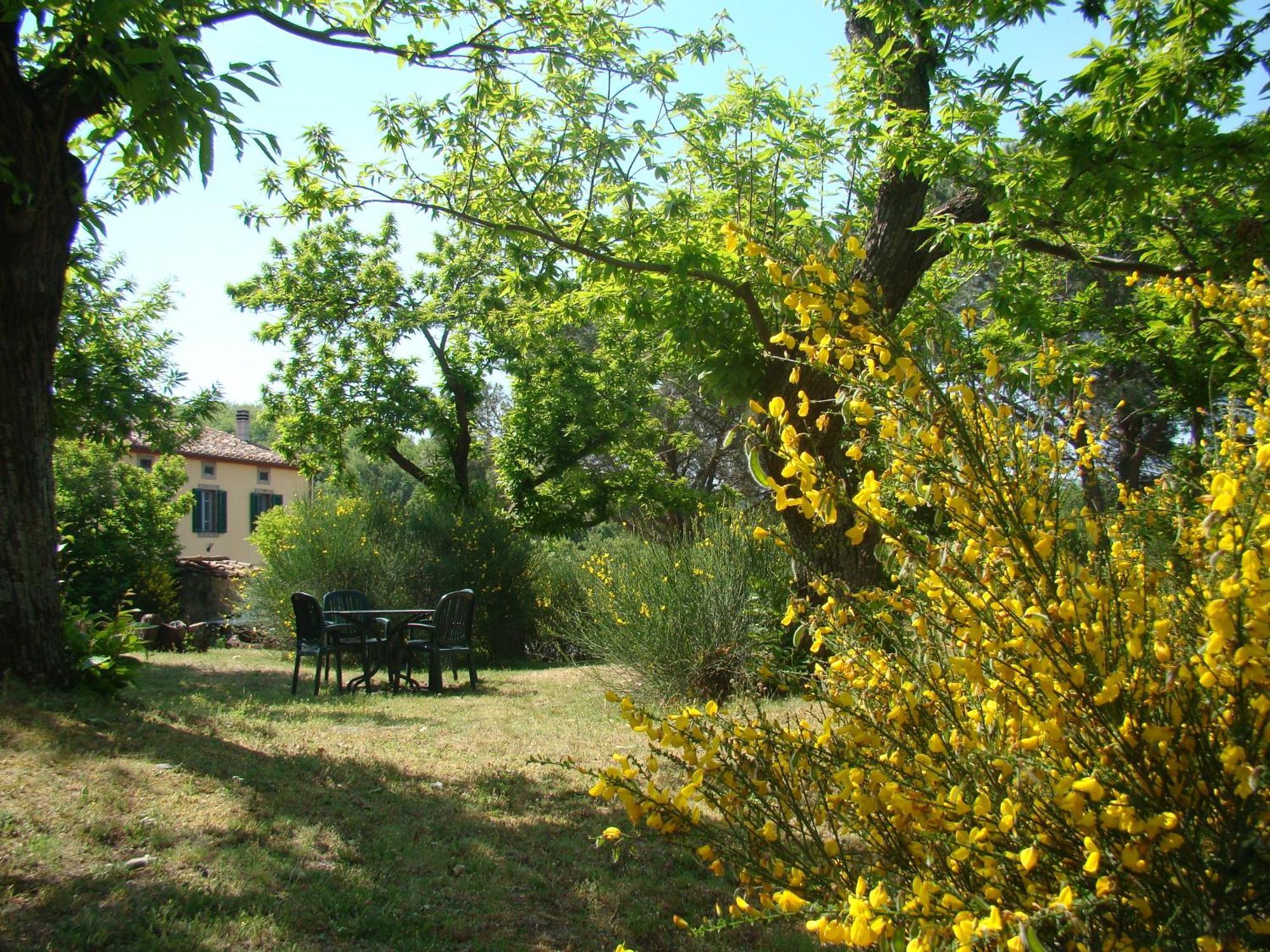 Borgo Tepolini Country House Castel del Piano  Ngoại thất bức ảnh